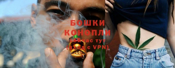 прущая мука Иннополис