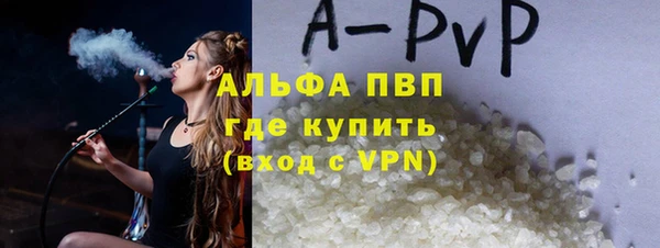 прущие грибы Инта