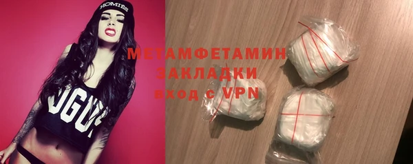 прущие грибы Инта
