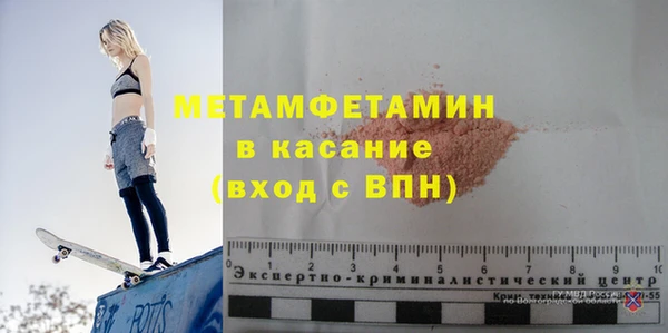 прущие грибы Инта