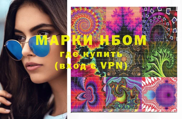 прущие грибы Инта