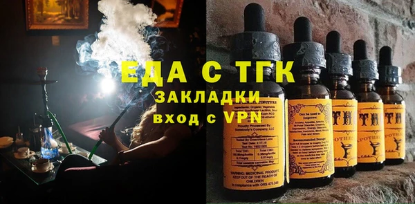 прущие грибы Инта