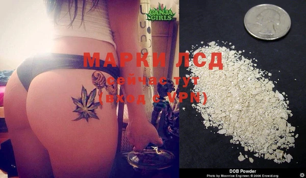 прущая мука Иннополис