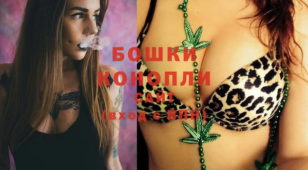 прущие грибы Инта