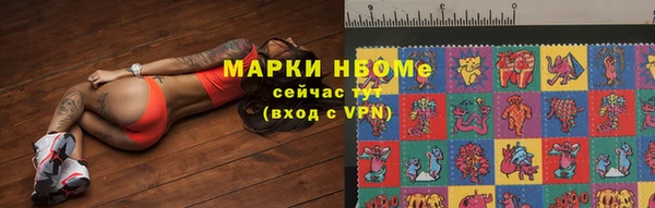 прущие грибы Инта