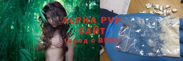 PSILOCYBIN Инсар