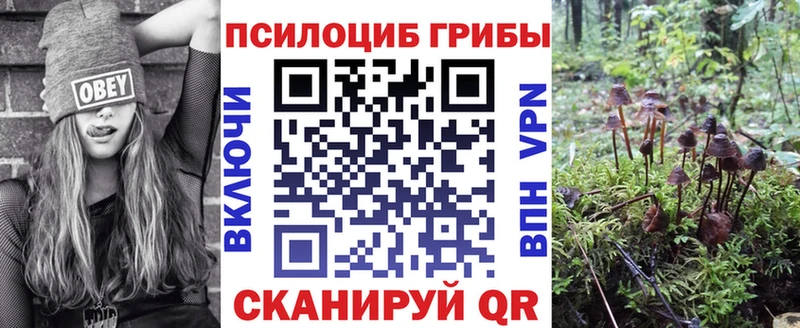 Галлюциногенные грибы ЛСД Купить закладки Дмитровск