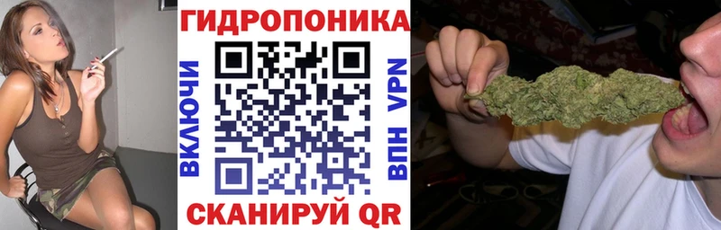 Шишки марихуана THC 21%  Купить закладки  Дмитровск 